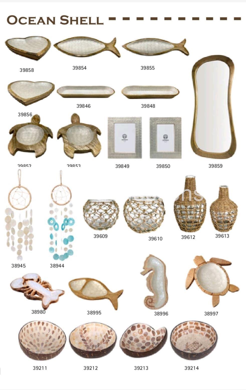 Ocean Shell - Imagen 2