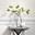 Papel Pintado Javan . Wallpaper , colecciones - Imagen 1