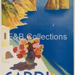 Poster CAPRI - Imagen 1